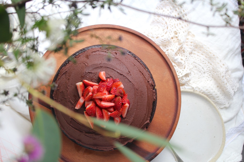 chocolate-cake-birdseye